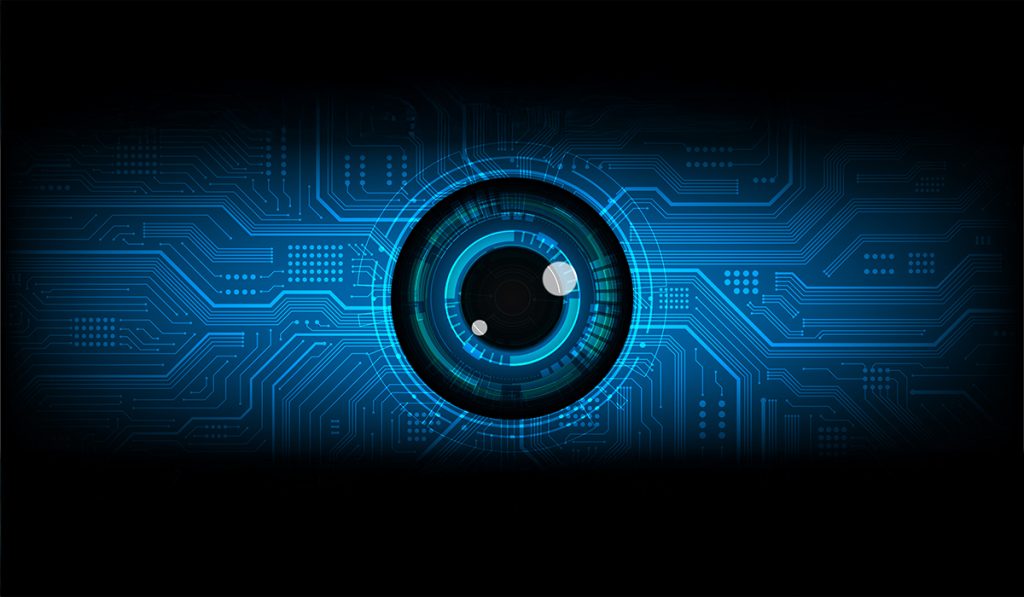 Read more about the article Protection & Security Services