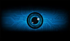 Read more about the article Protection & Security Services